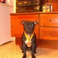Mis primeras medallas y puntos